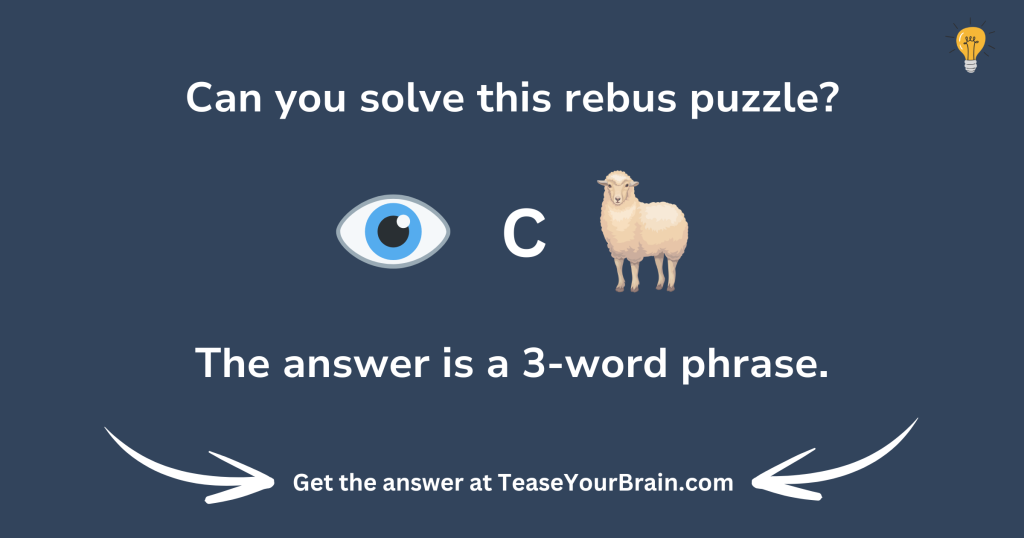 Eye Rebus Puzzle