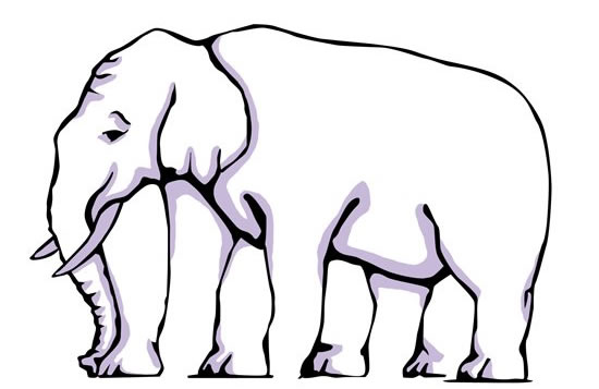 Elephant Legs Optical Illusion