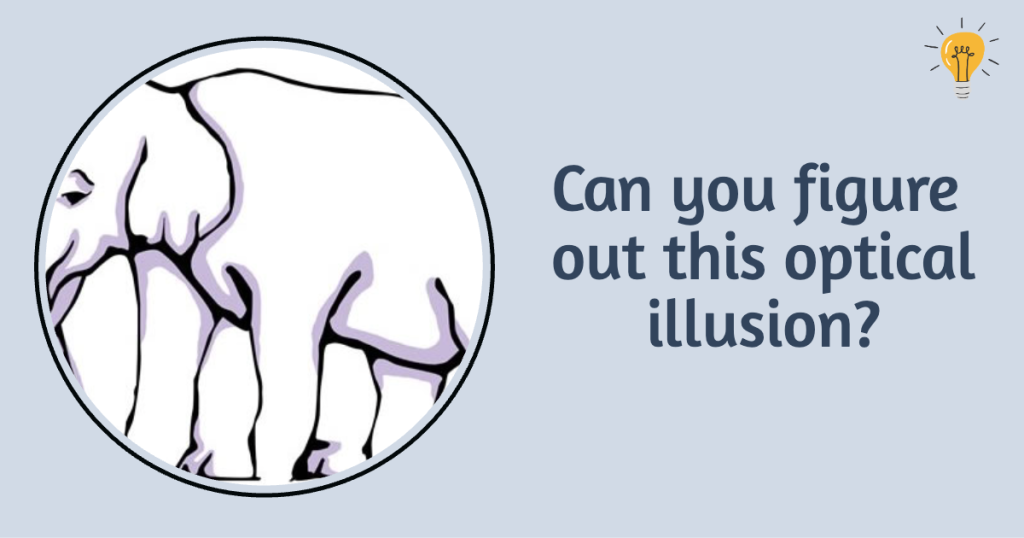 Elephant Optical Illusion Facebook Share